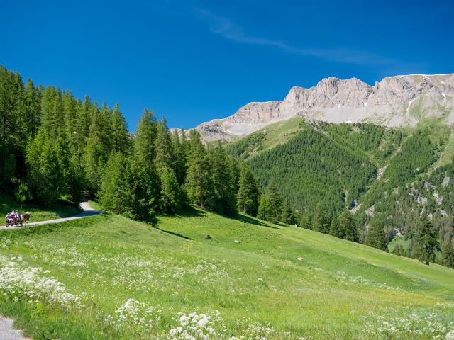 Bois Des Amoureux