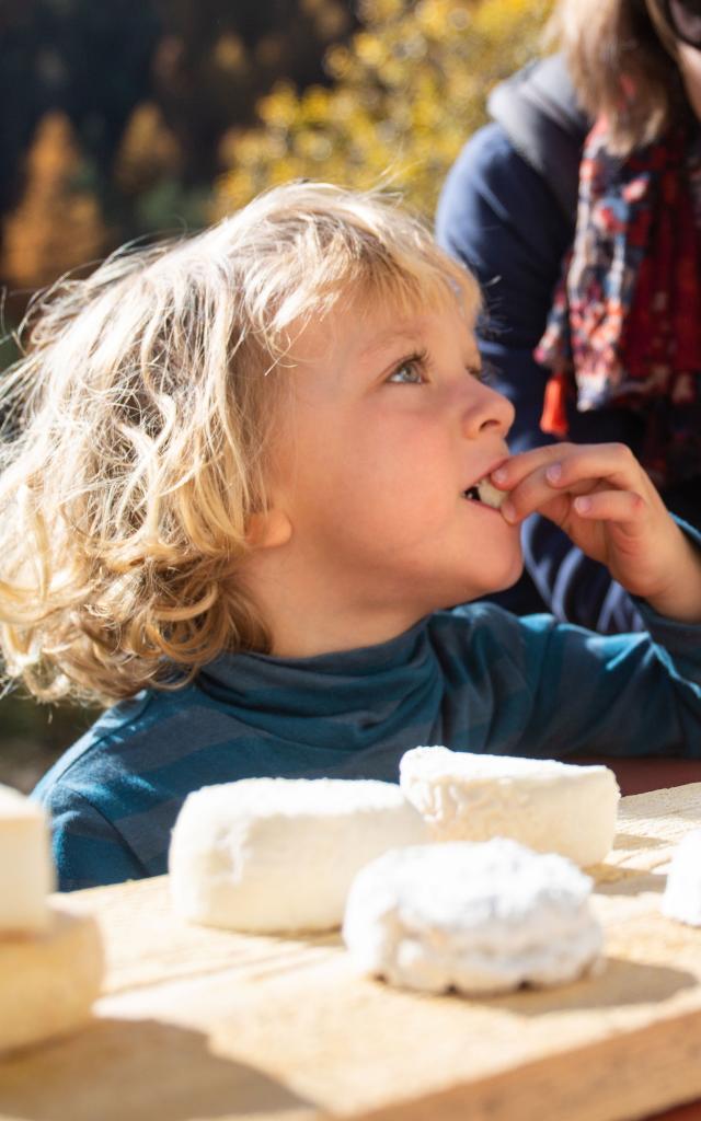 Dégustation De Fromage De Chèvre