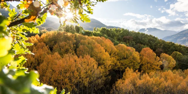 Guillestre Couleurs D Automne©pema