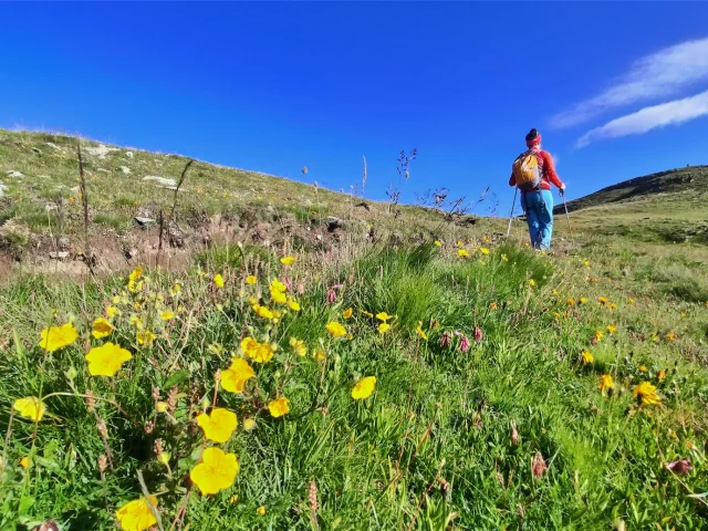 ©g Vallot Réotier Rando Pinfol Lac Du Laus Rs 23