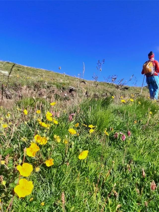 ©g Vallot Réotier Rando Pinfol Lac Du Laus Rs 23