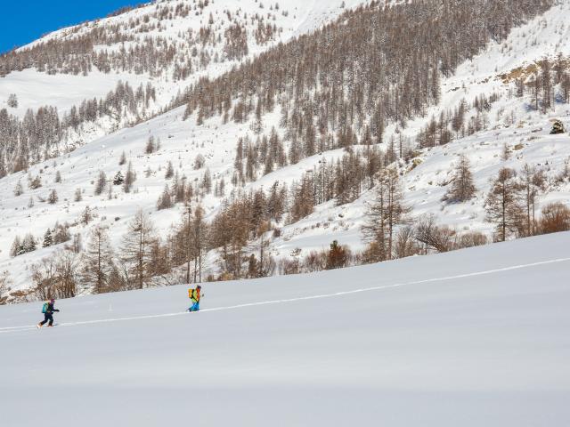 Ski De Randonnée Ristolas Hd 2 ©pema