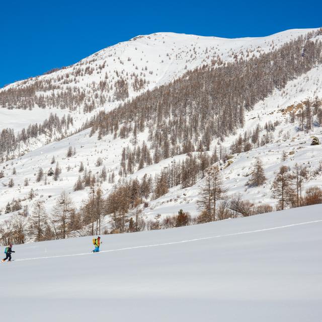 Ski De Randonnée Ristolas Hd 2 ©pema