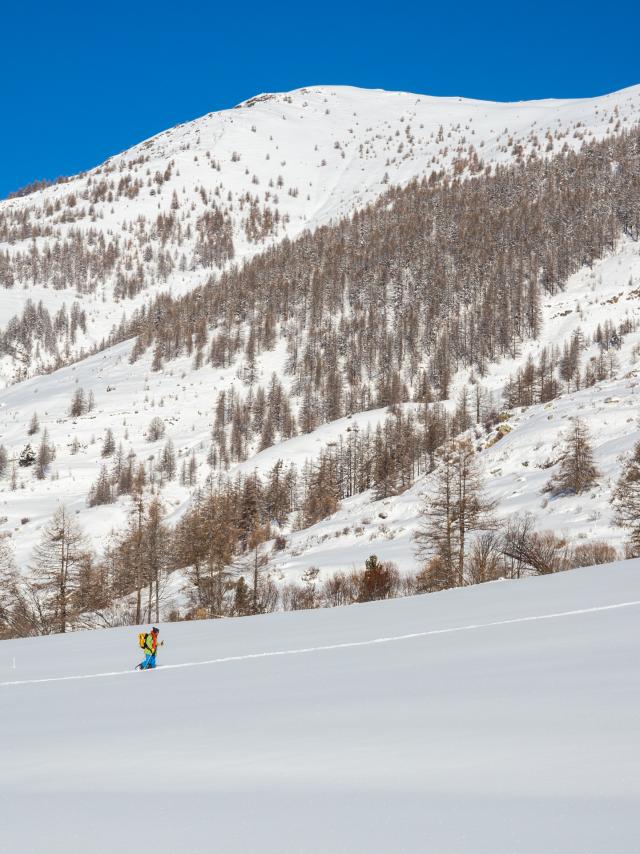 Ski De Randonnée Ristolas Hd 2 ©pema