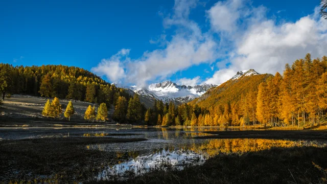 Lac de Roue à l'automne