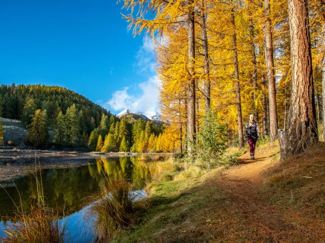 Lac De Roue A Lautomne