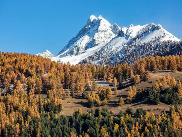 Quand l'automne embrasse l'hiver