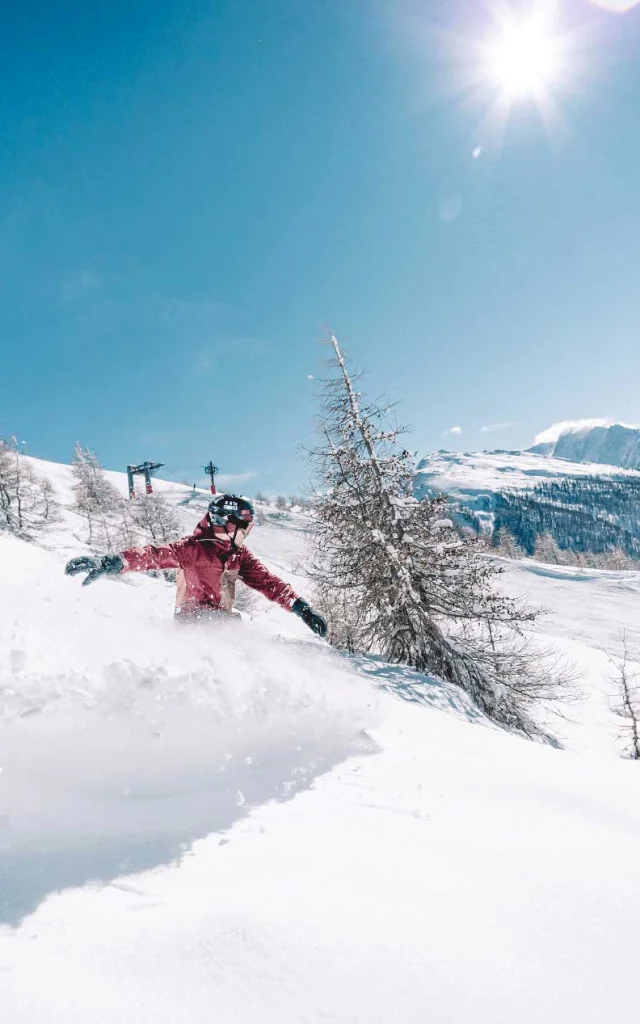 Ski Alpin Domaine Abries