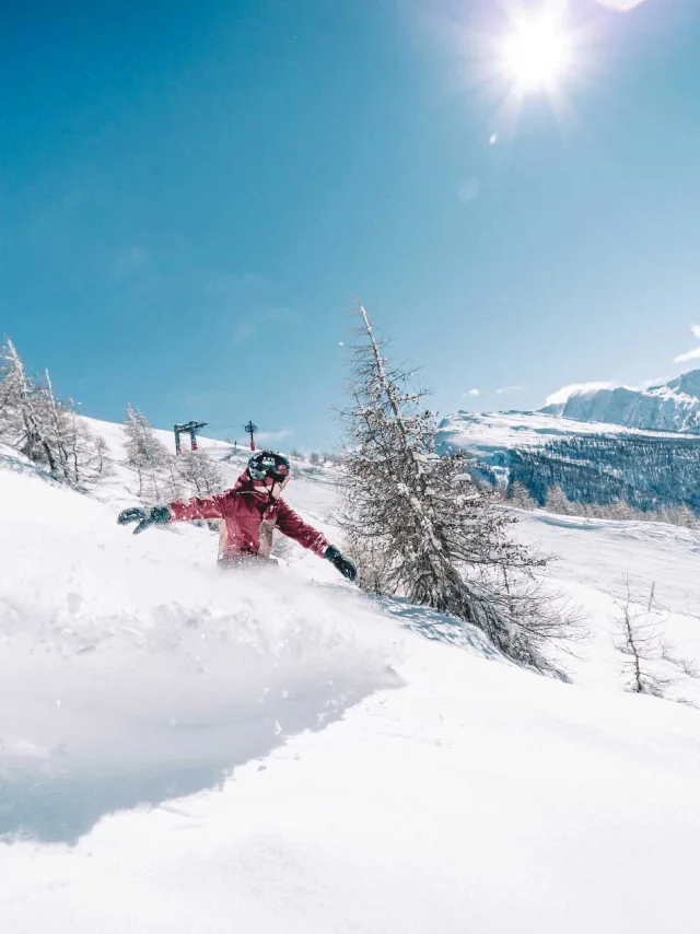 Ski Alpin Domaine Abries