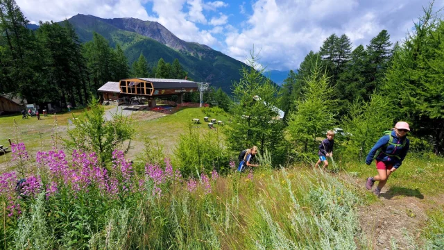 Sommet Telesiege De Gilly