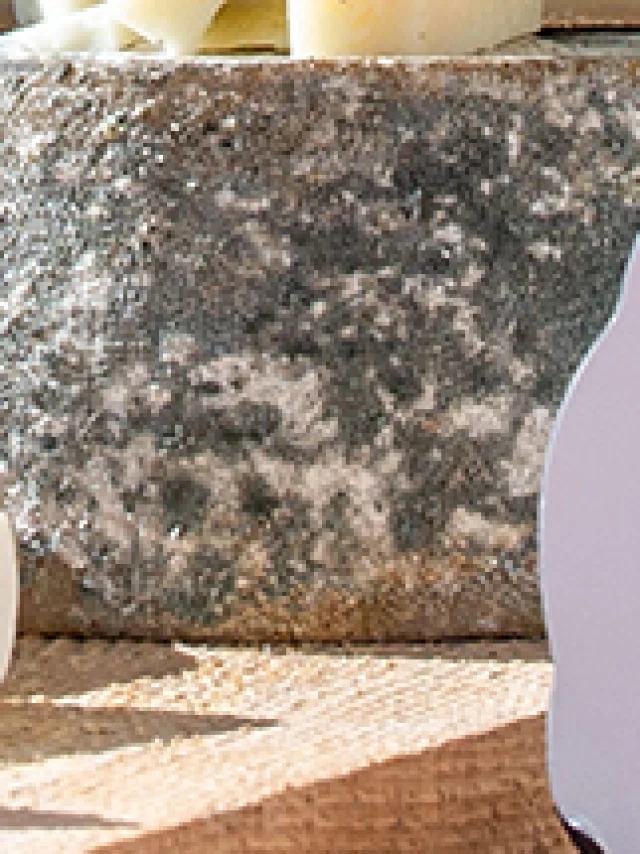 Valeurs Parc Queyras 05 Nature