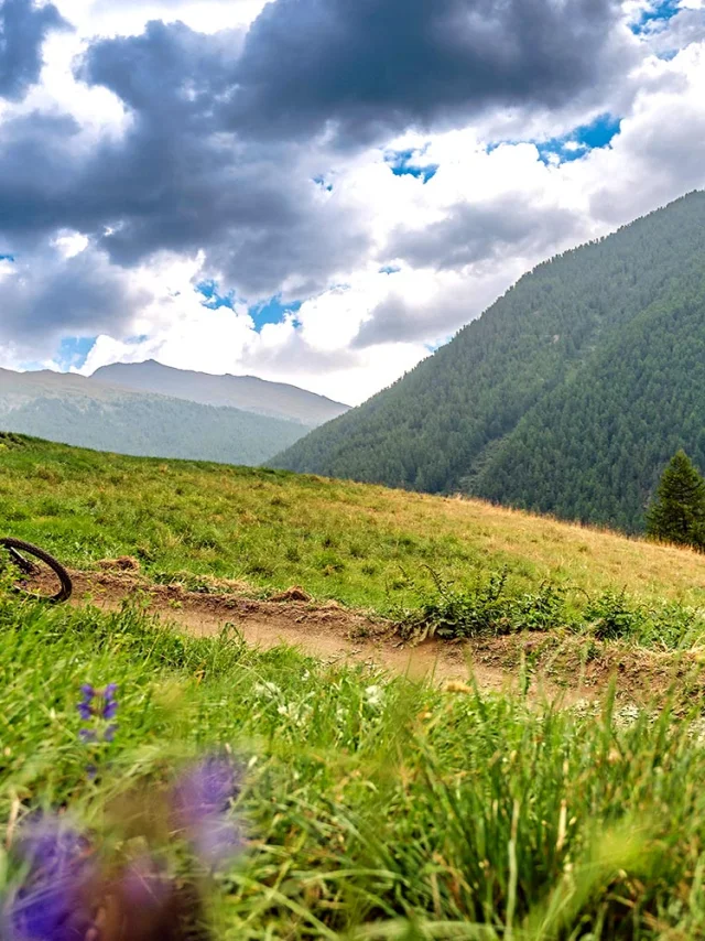 Bike Park Abries Ete